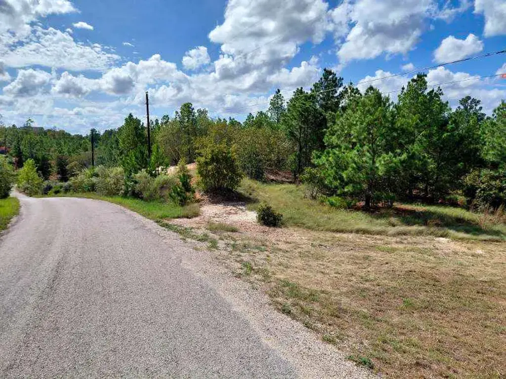 Lot 3 Tall Forest Dr, Bastrop