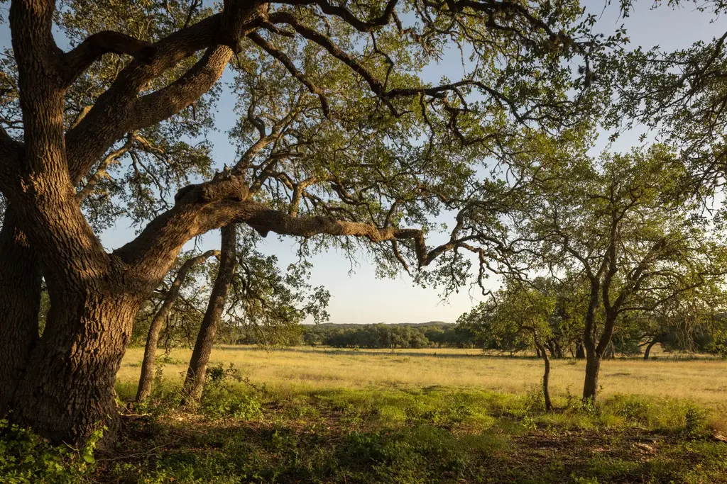 2427 Prochnow Rd, Dripping Springs