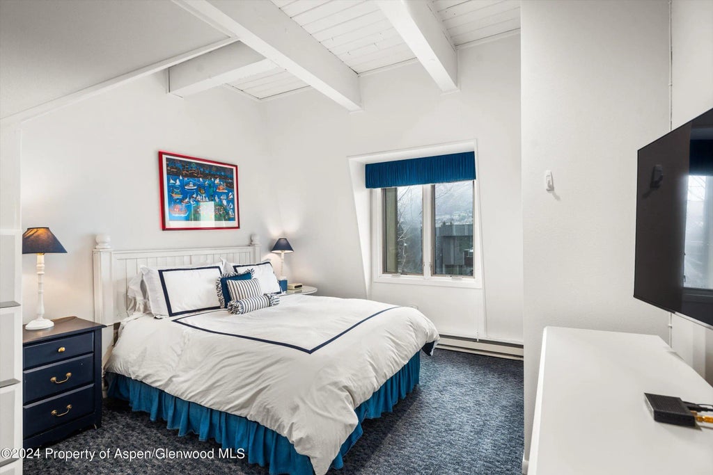 11 of 16 - 731 E Durant Avenue #18, Aspen, CO