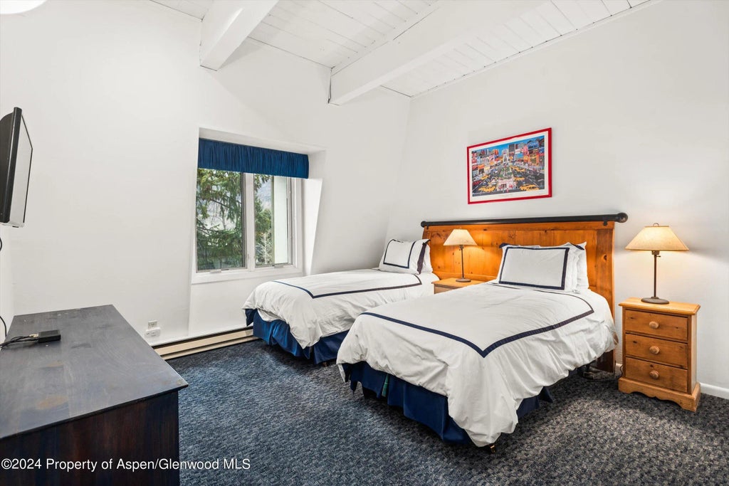 13 of 16 - 731 E Durant Avenue #18, Aspen, CO