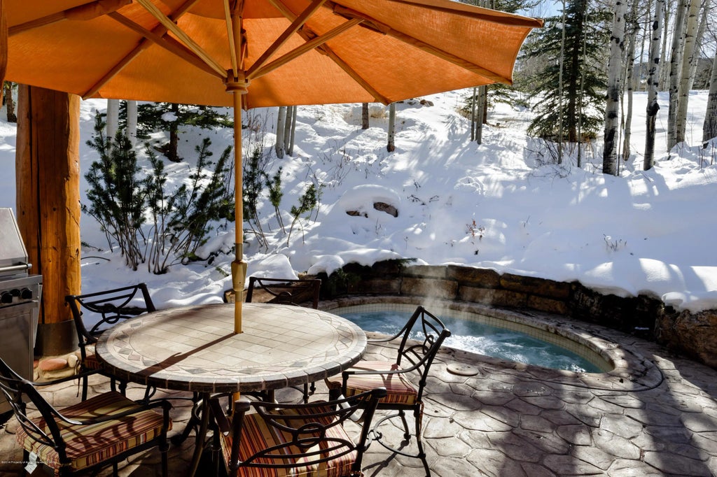 32 of 38 - 849 Serviceberry Lane, Snowmass Village, CO