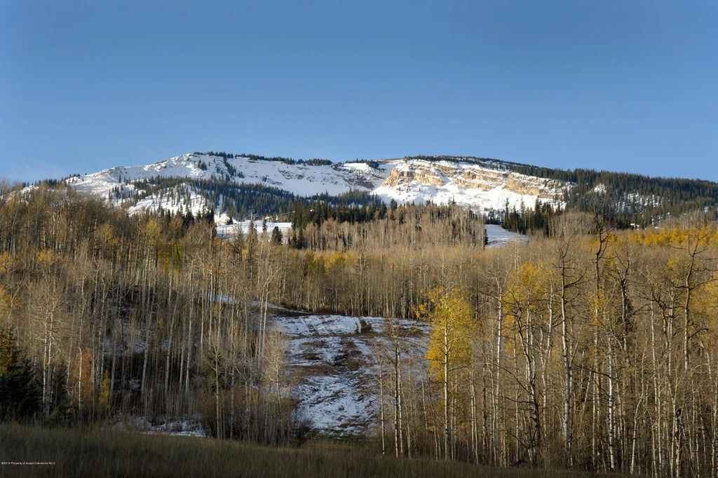 37 of 38 - 849 Serviceberry Lane, Snowmass Village, CO