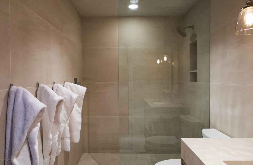 30 of 35 - 58 Exhibition Lane, Aspen, CO