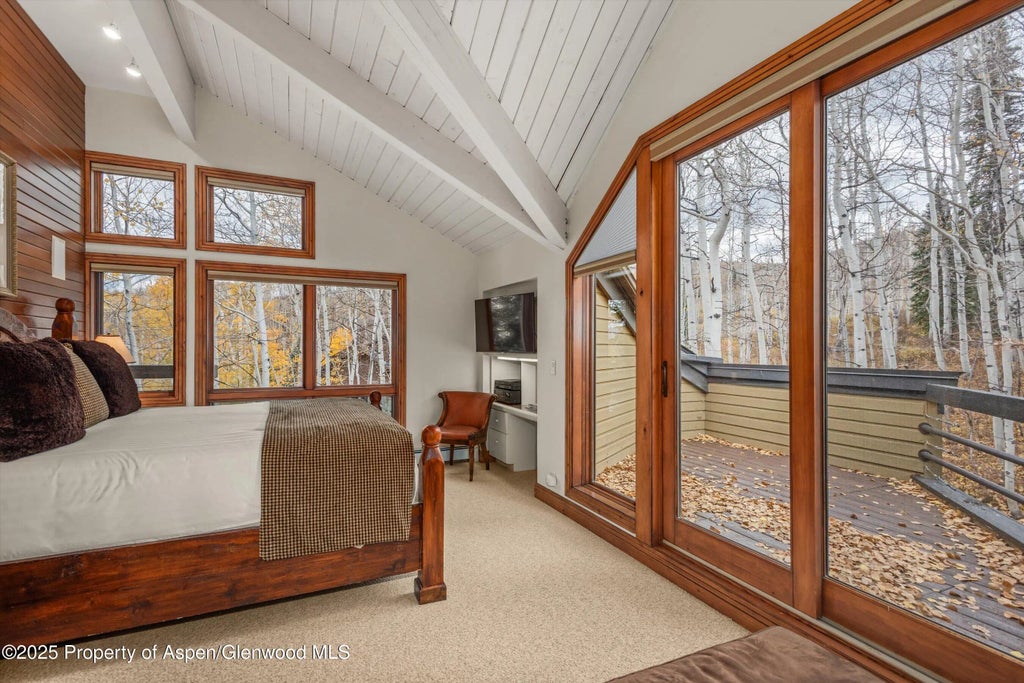 13 of 25 - 140 Forest Lane, Snowmass Village, CO