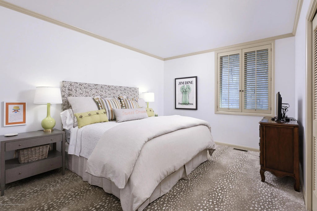 18 of 35 - 207 N Second Street, Aspen, CO