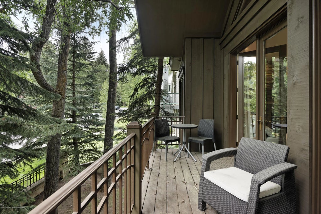 27 of 35 - 207 N Second Street, Aspen, CO