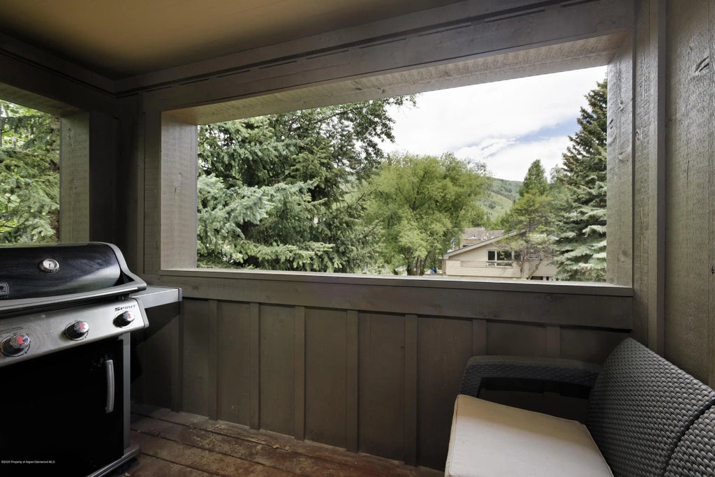 30 of 35 - 207 N Second Street, Aspen, CO