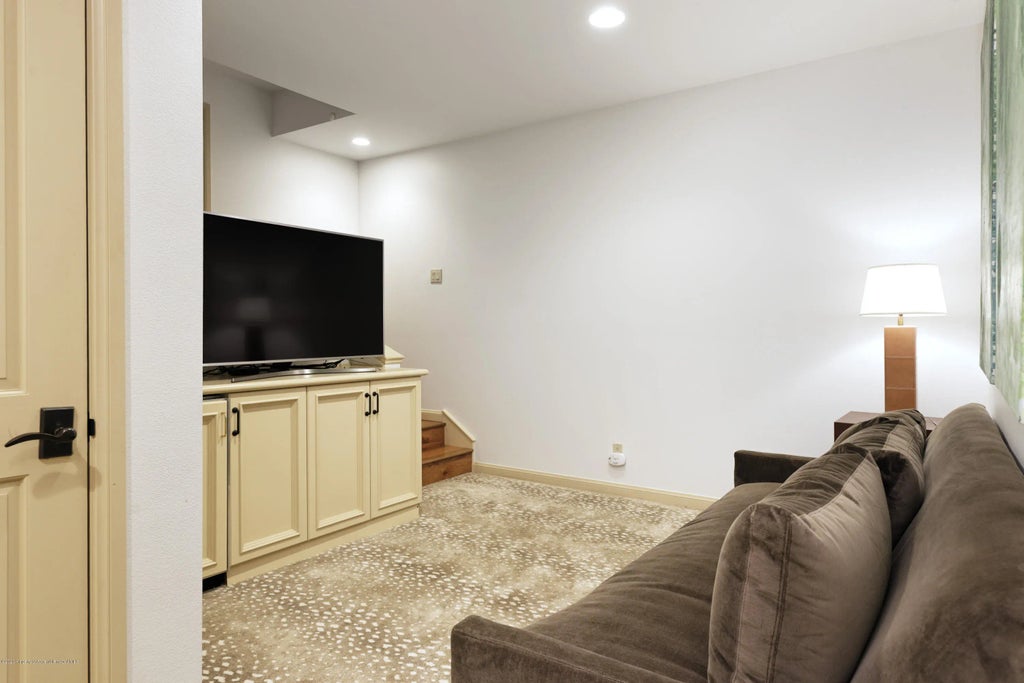 34 of 35 - 207 N Second Street, Aspen, CO