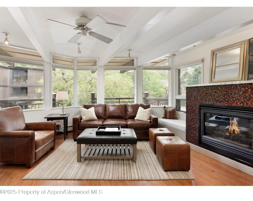 803 E Durant Avenue #6, Aspen
