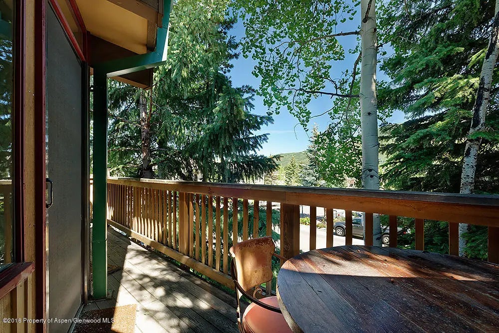 13 of 14 - 803 E Durant Avenue #6, Aspen, CO