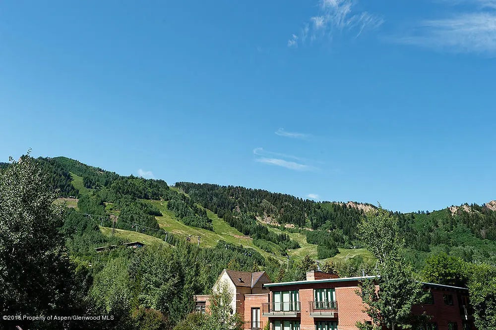 3 of 14 - 803 E Durant Avenue #6, Aspen, CO