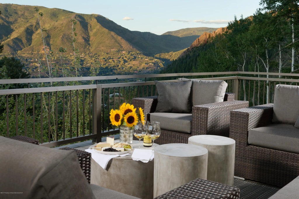 22 of 33 - 991 Moore Drive, Aspen, CO