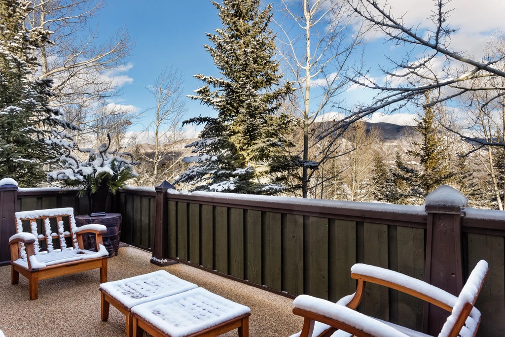 27 of 33 - 204 Oregon Trail, Aspen, CO