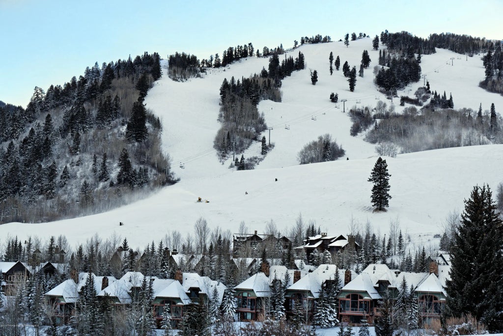 30 of 33 - 204 Oregon Trail, Aspen, CO