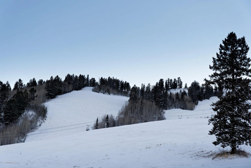 31 of 33 - 204 Oregon Trail, Aspen, CO