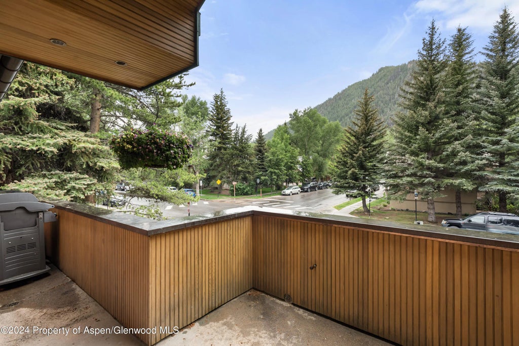 15 of 39 - 421 S West End Street, Aspen, CO