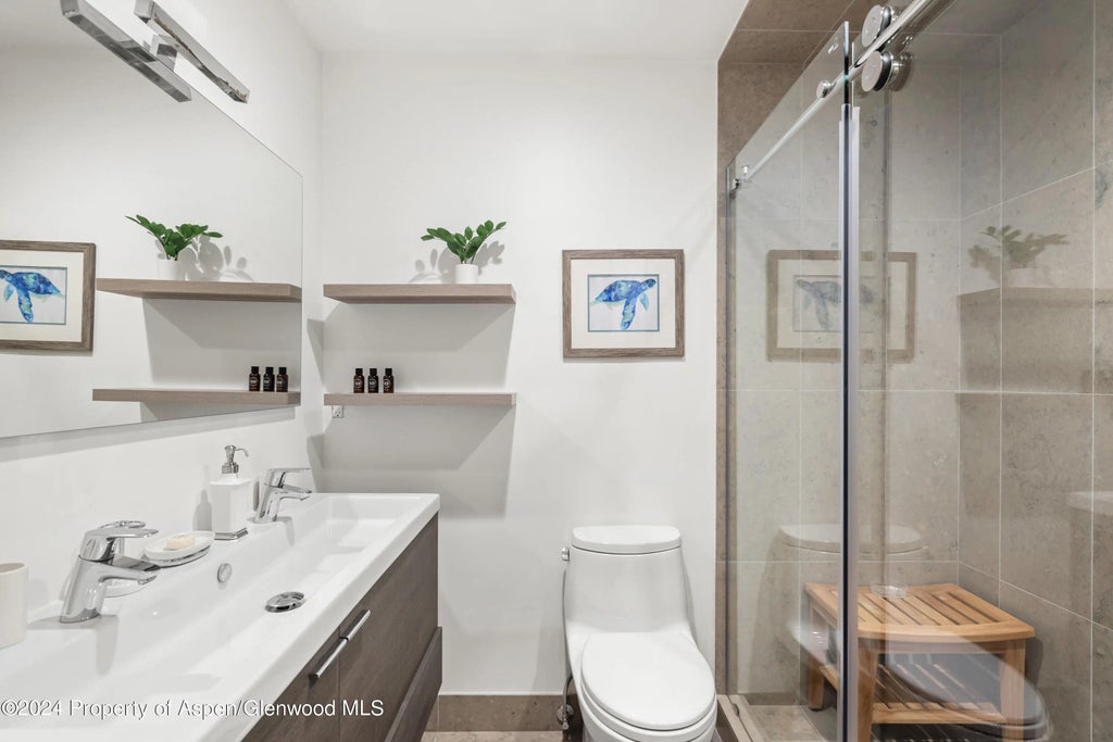 32 of 39 - 421 S West End Street, Aspen, CO