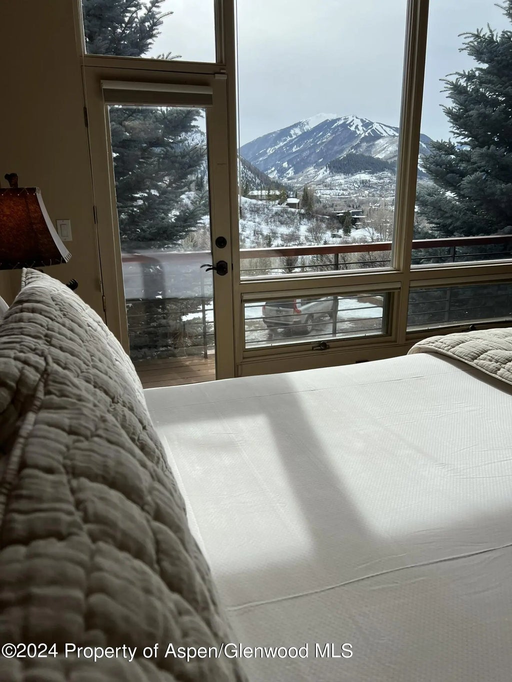 11 of 28 - 185 Nighthawk Drive, Aspen, CO