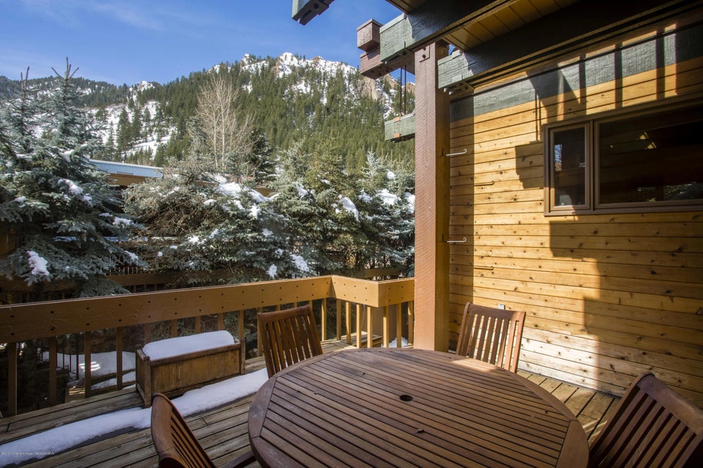 18 of 27 - 237 W Hopkins Avenue, Aspen, CO