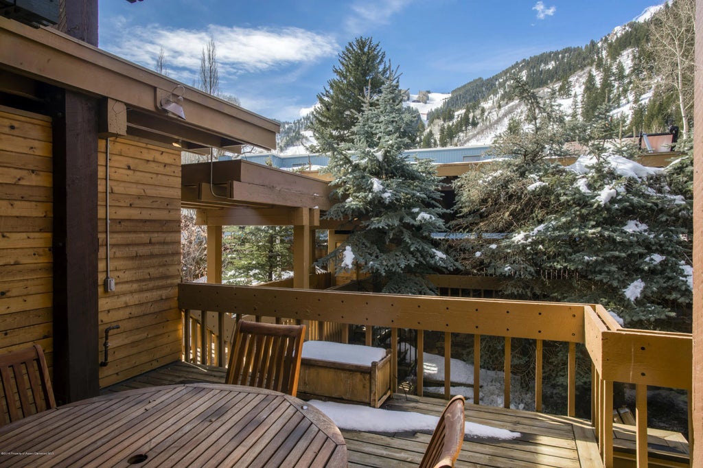 19 of 27 - 237 W Hopkins Avenue, Aspen, CO