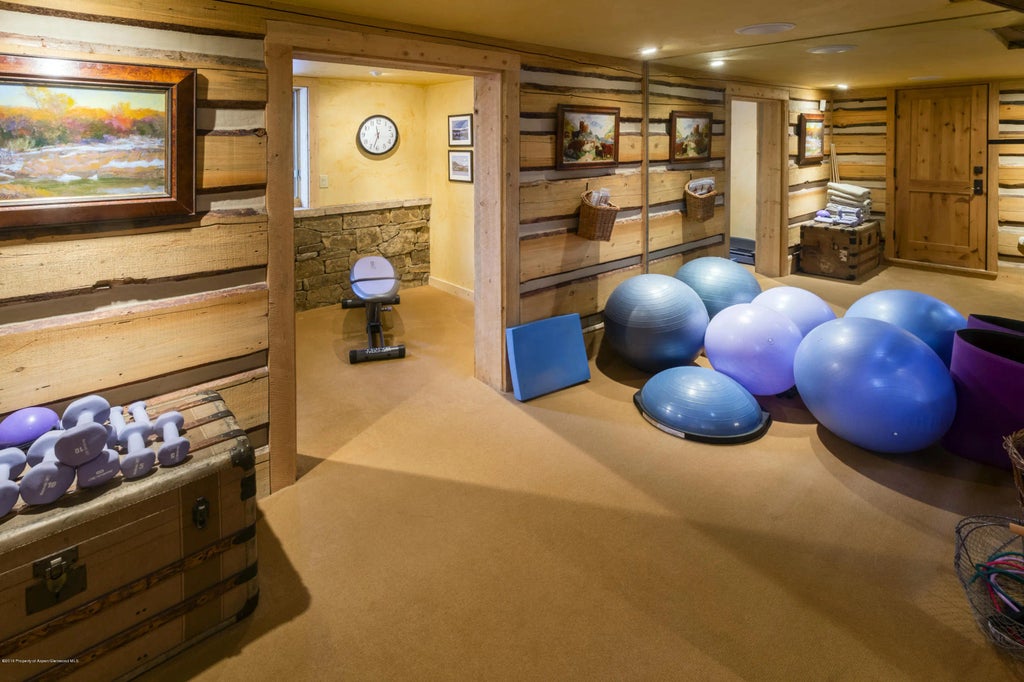 22 of 27 - 237 W Hopkins Avenue, Aspen, CO