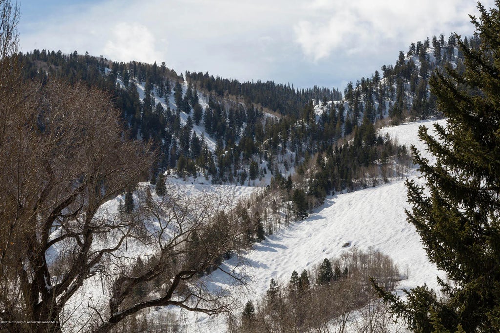 25 of 27 - 237 W Hopkins Avenue, Aspen, CO