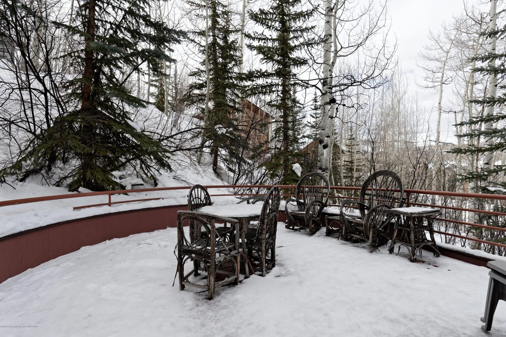 27 of 71 - 431 Edgewood Lane, Snowmass Village, CO