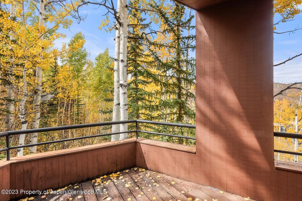 38 of 71 - 431 Edgewood Lane, Snowmass Village, CO