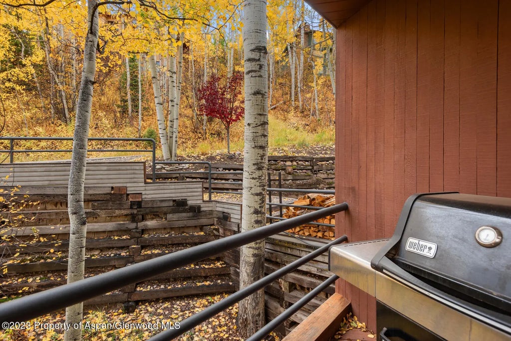 53 of 71 - 431 Edgewood Lane, Snowmass Village, CO