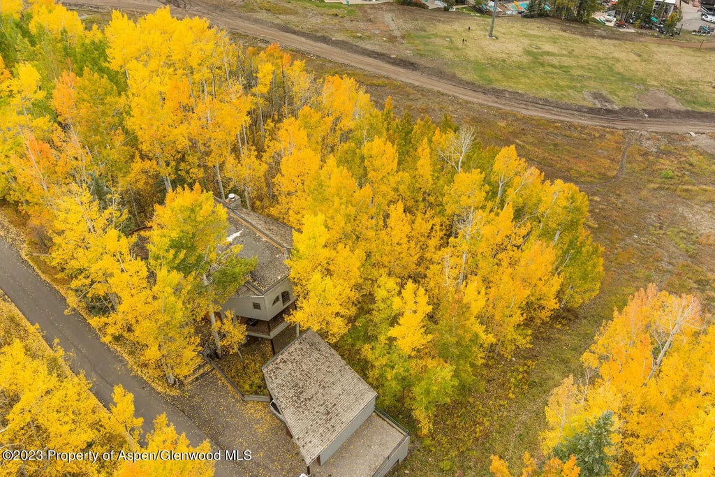 66 of 71 - 431 Edgewood Lane, Snowmass Village, CO