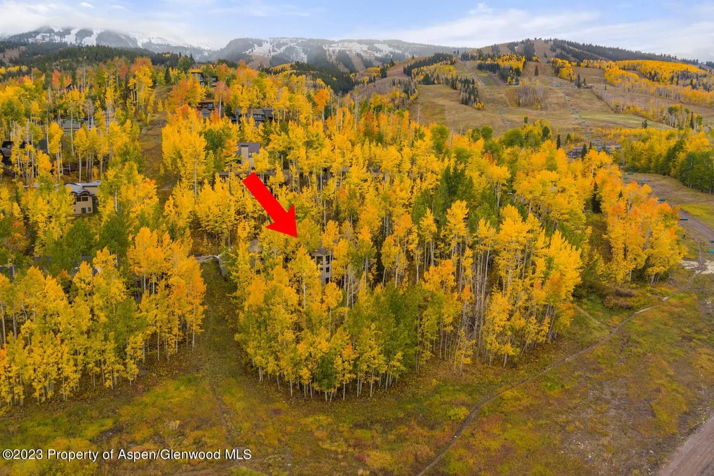 69 of 71 - 431 Edgewood Lane, Snowmass Village, CO