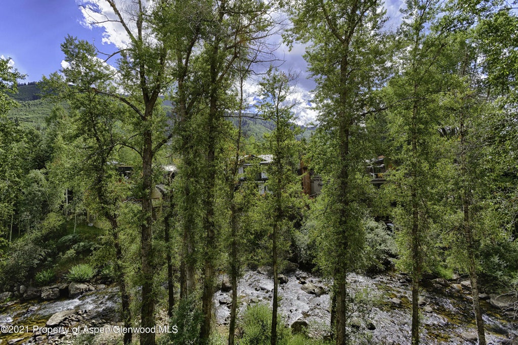 17 of 18 - 1028 E Hopkins Avenue Unit #24, Aspen, CO