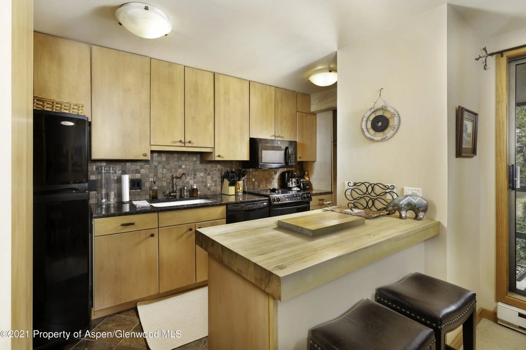5 of 18 - 1028 E Hopkins Avenue Unit #24, Aspen, CO