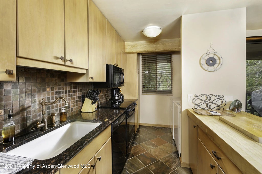 6 of 18 - 1028 E Hopkins Avenue Unit #24, Aspen, CO