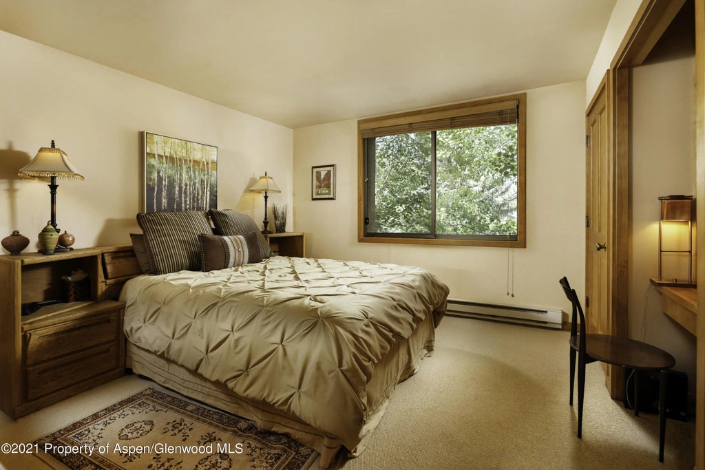 8 of 18 - 1028 E Hopkins Avenue Unit #24, Aspen, CO