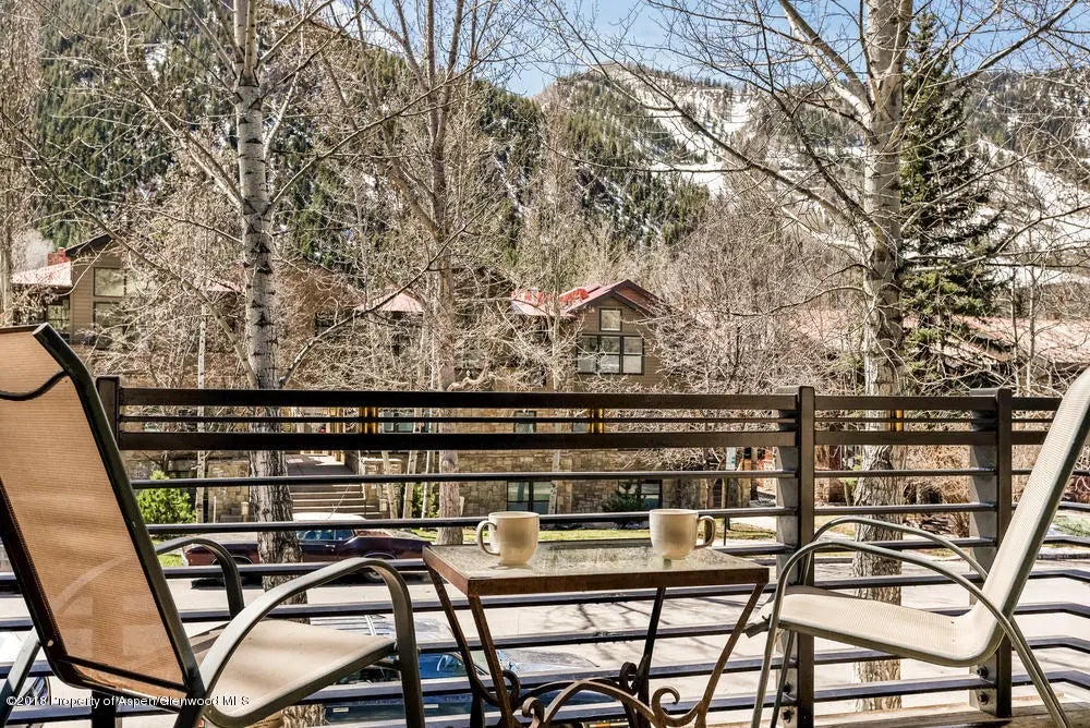 18 of 20 - 926 E Durant Avenue Unit 3, Aspen, CO