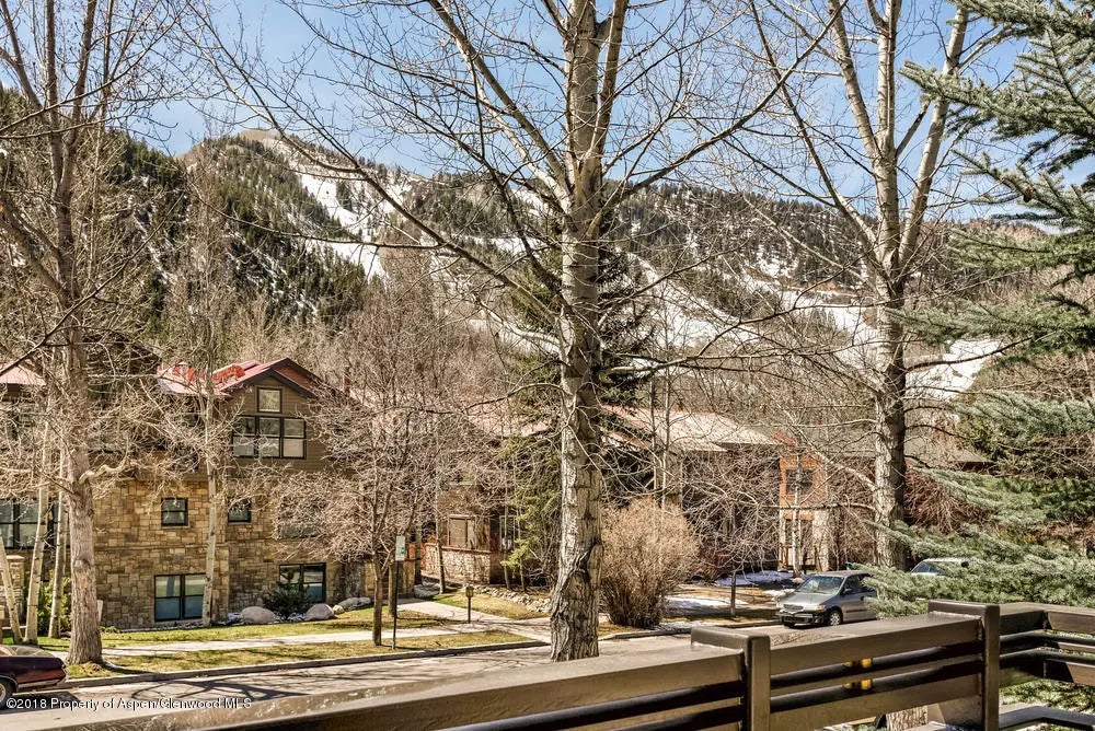 19 of 20 - 926 E Durant Avenue Unit 3, Aspen, CO