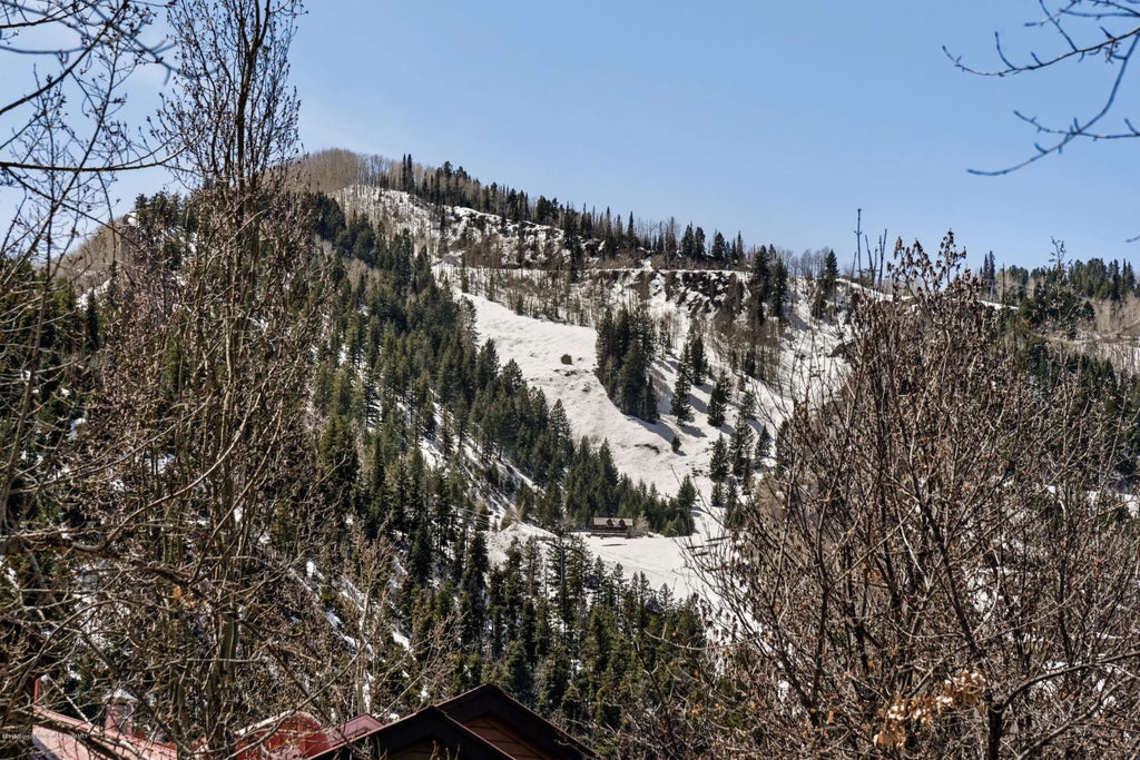 20 of 20 - 926 E Durant Avenue Unit 3, Aspen, CO