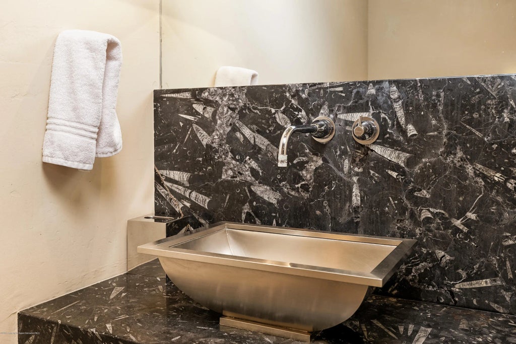 6 of 20 - 926 E Durant Avenue Unit 3, Aspen, CO