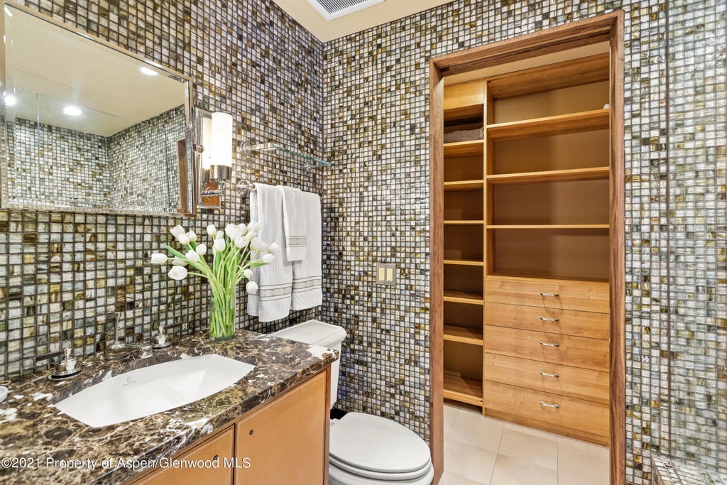 10 of 24 - 800 S Monarch Street #4, Aspen, CO
