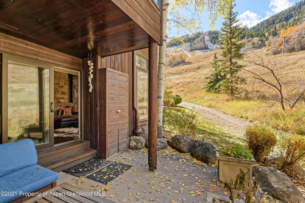 14 of 24 - 800 S Monarch Street #4, Aspen, CO