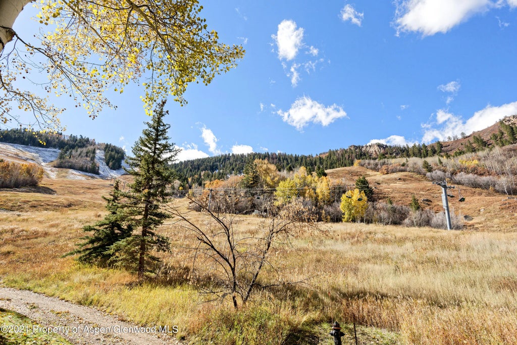 16 of 24 - 800 S Monarch Street #4, Aspen, CO