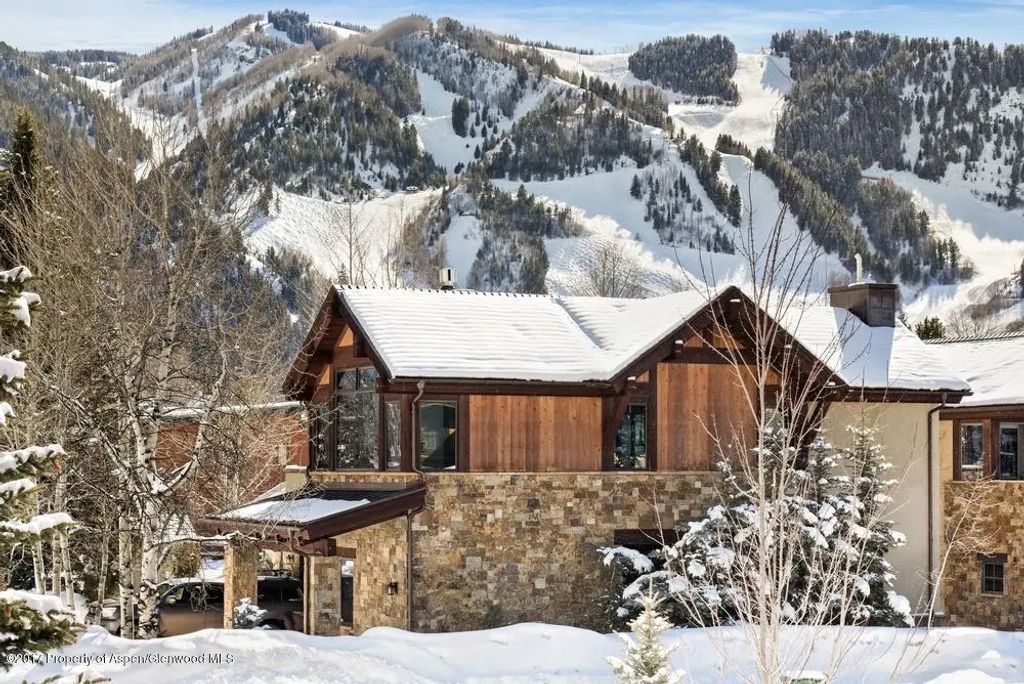 18 of 21 - 566 Race Street, Aspen, CO