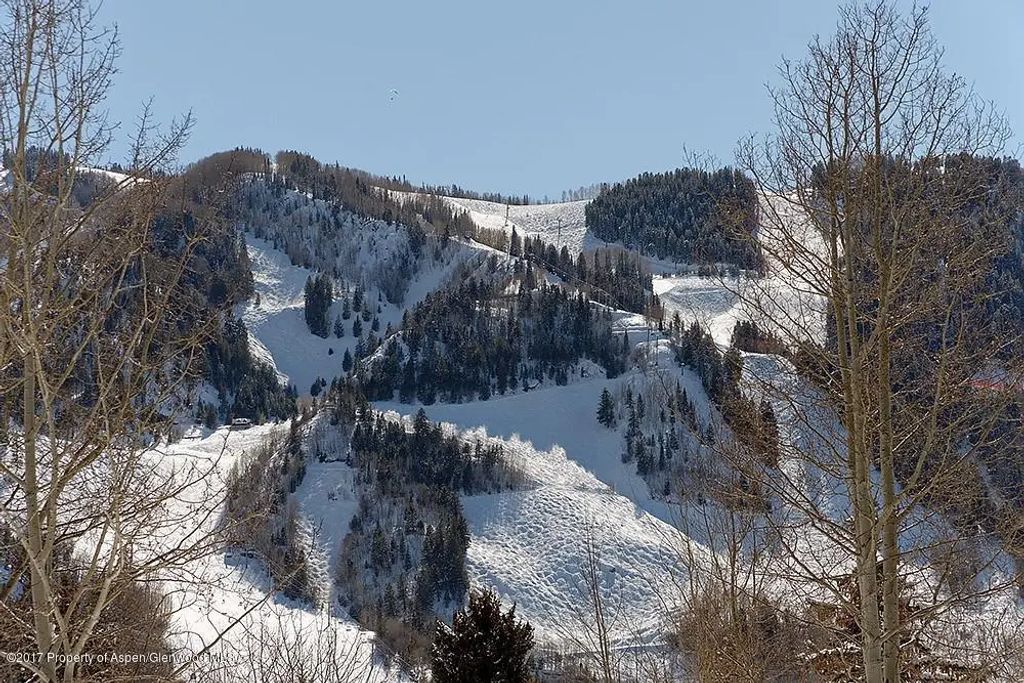 19 of 21 - 566 Race Street, Aspen, CO