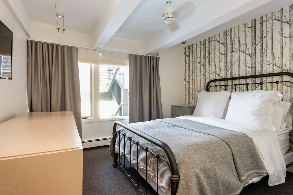 14 of 17 - 124 W Hyman Avenue 2-e, Aspen, CO