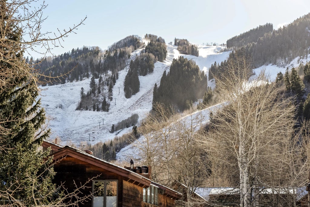 16 of 17 - 124 W Hyman Avenue 2-e, Aspen, CO