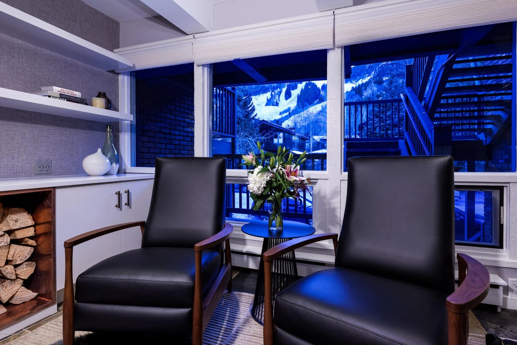 8 of 17 - 124 W Hyman Avenue 2-e, Aspen, CO