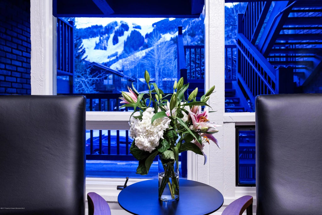 9 of 17 - 124 W Hyman Avenue 2-e, Aspen, CO