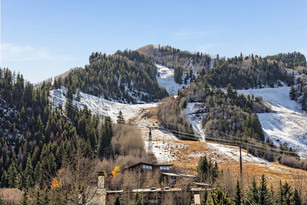 17 of 23 - 710 E Durant Avenue Unit C & D, Aspen, CO