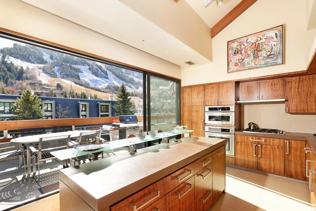 23 of 23 - 710 E Durant Avenue Unit C & D, Aspen, CO